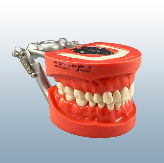 Tipodonto Nissin D81SDP-200 – Modelo Dental de Silicon